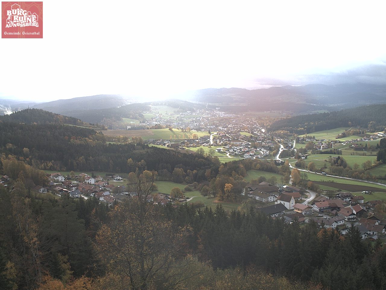 Camera Live Image